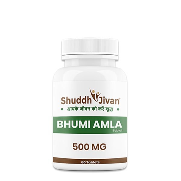 Bhumi Amla Tablets (60 Tabs)