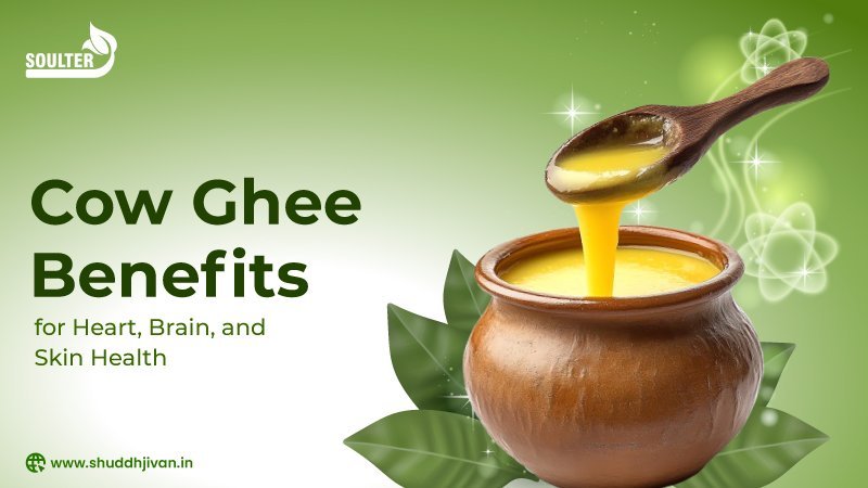 Cow Ghee Benefits for Heart, Brain, and Skin Health