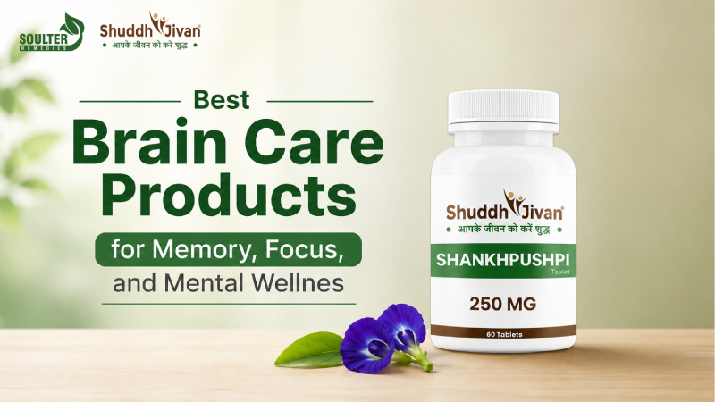 Best Brain Care Products for Memory, Focus, and Mental Wellness