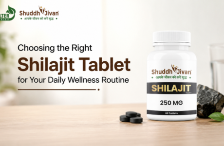 Choosing the Right Shilajit Tablet for Your Daily Wellness Routine