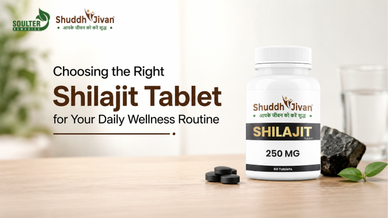 Choosing the Right Shilajit Tablet for Your Daily Wellness Routine